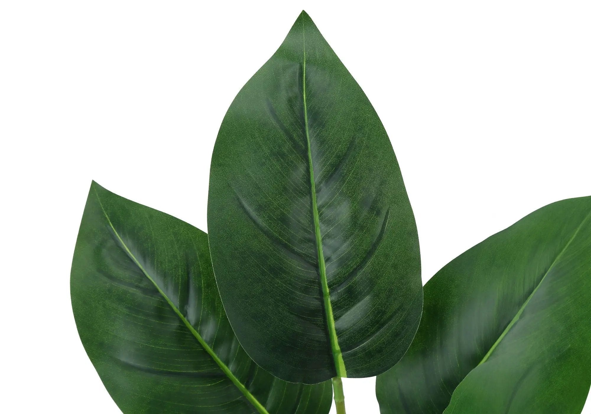 17" Tall Aureum Artificial Indoor Plant in White Pot by HouseOfZazla