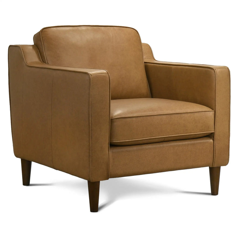 Cooper Lounge Chair by HouseOfZazla