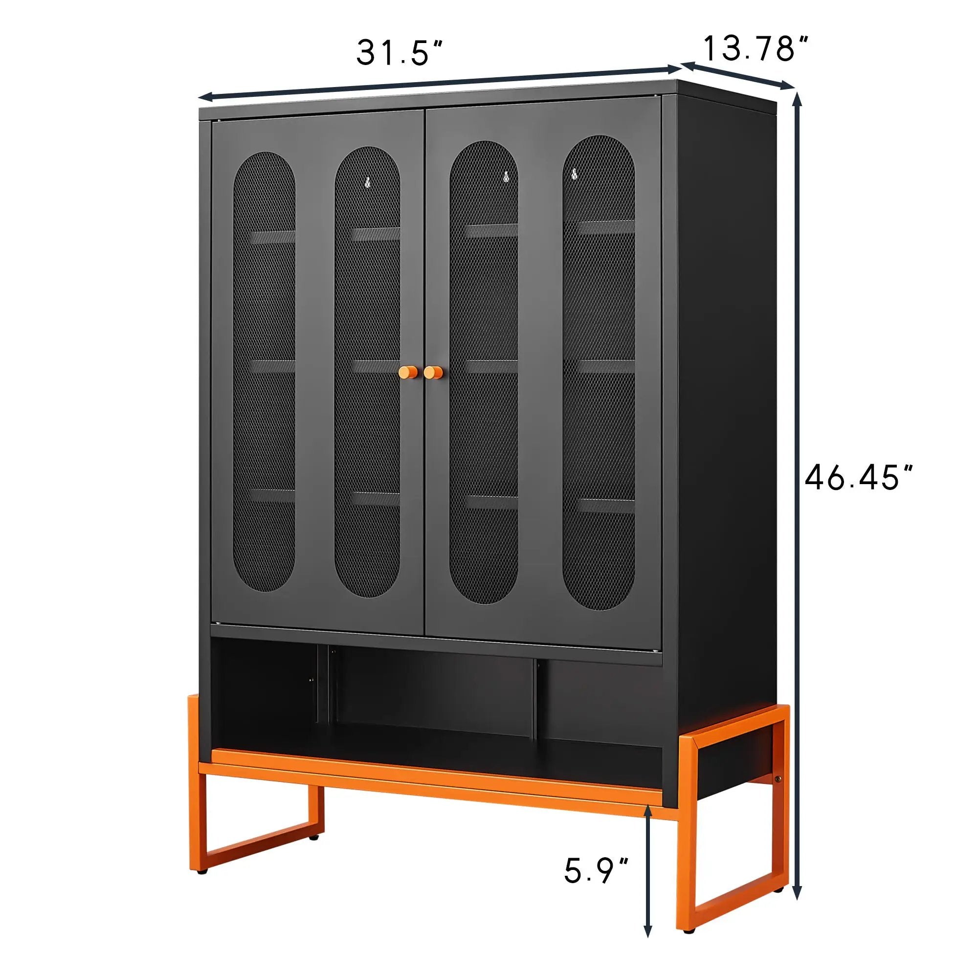 Modern Metal Shoe Cabinet With DoublebSided Doors And Adjustable Partitions by Unique Piece Furniture