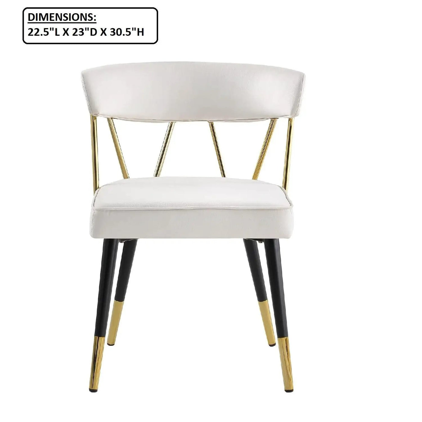 Glam Dining Chair (Set of 2) by HouseOfZazla