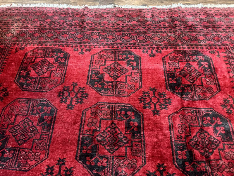 Afghan Turkoman Rug 9x10, Red Beshir Carpet, Tribal, Wool, Antique by Jewel Rugs