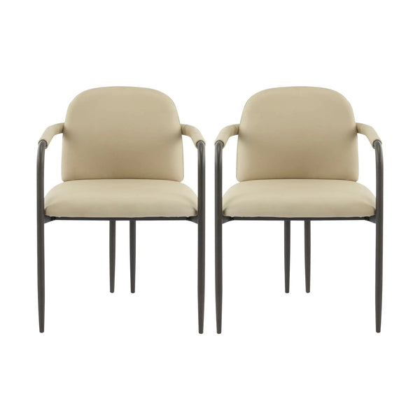 Modern Dining Chair Set of 2 with Iron Frame - Espresso / Khaki