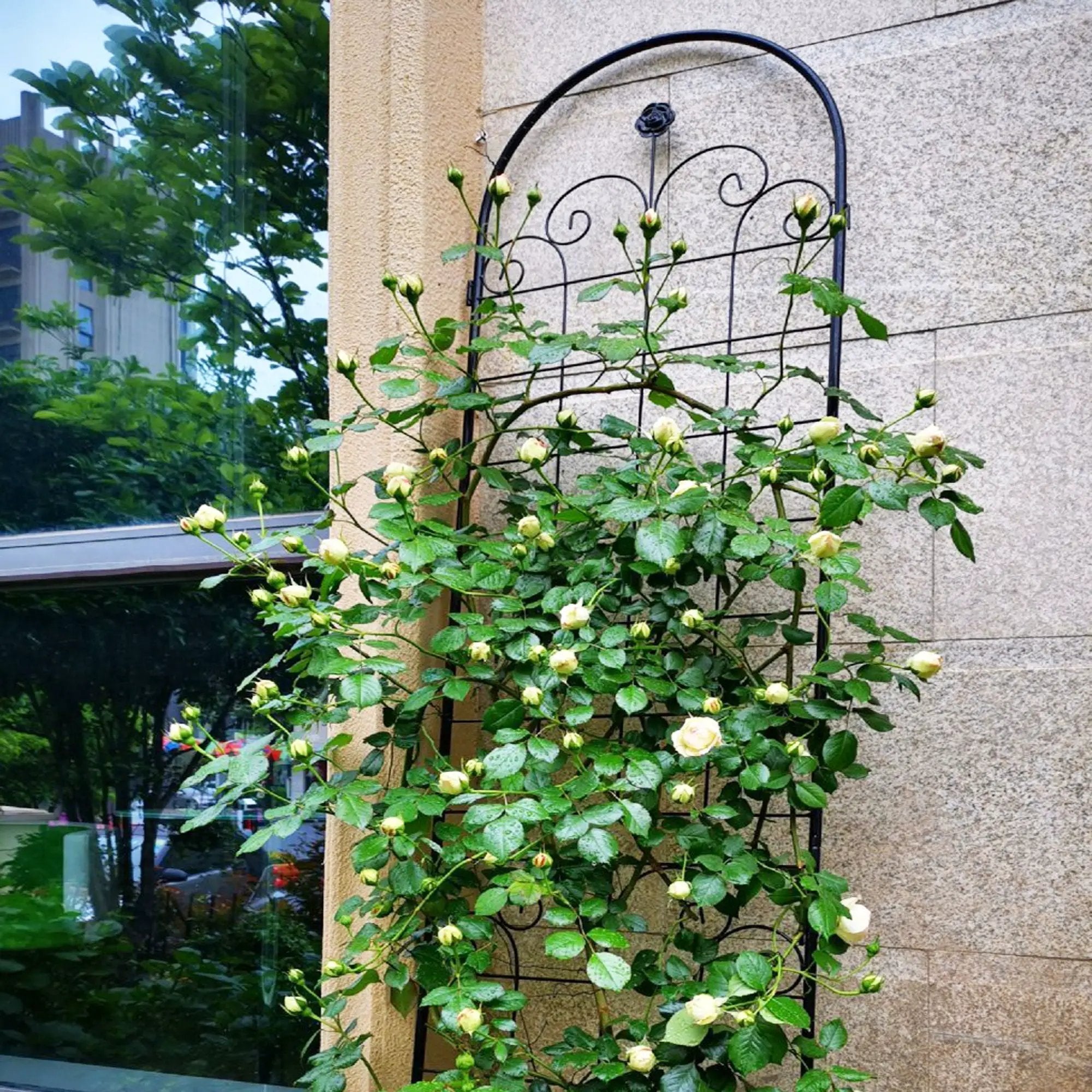Metal Garden Trellis For Climbing Plants Outdoor Rustproof Plant Support Rose Trellis Netting Trellis by HouseOfZazla