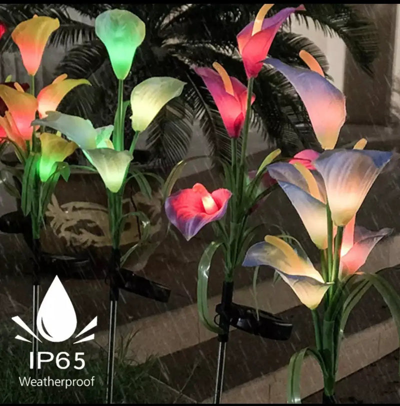 4 Pack Solar Common Calla Lamp Four Color LED by Outdoor Solar Outlet