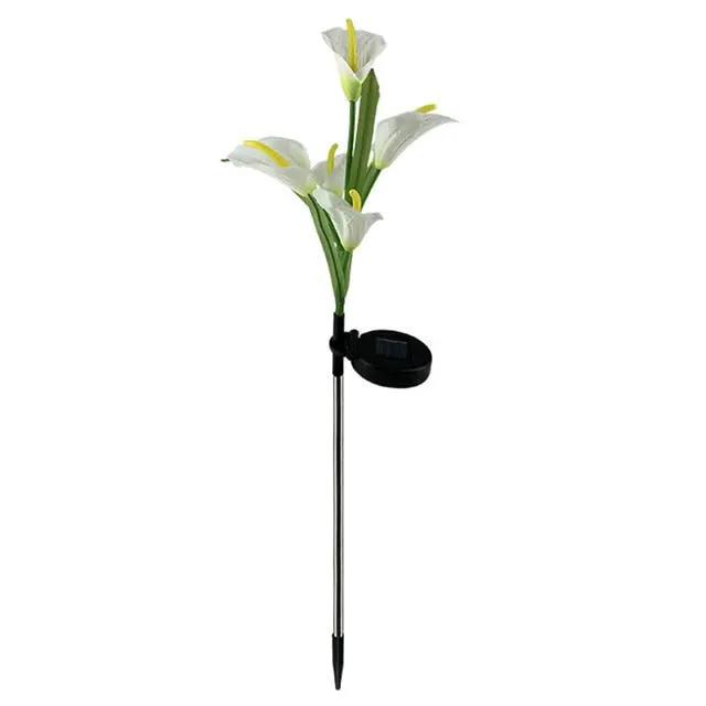 4 Pack Solar Common Calla Lamp Four Color LED by Outdoor Solar Outlet