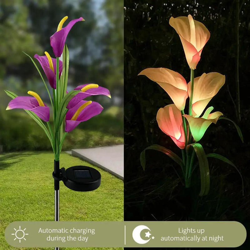 4 Pack Solar Common Calla Lamp Four Color LED by Outdoor Solar Outlet