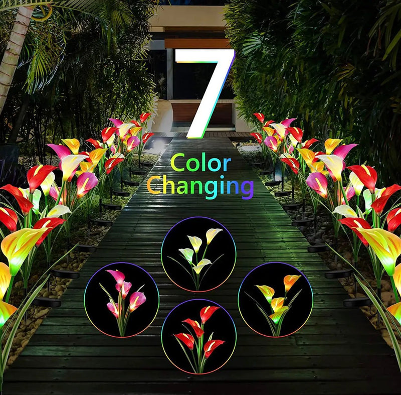 4 Pack Solar Common Calla Lamp Four Color LED by Outdoor Solar Outlet