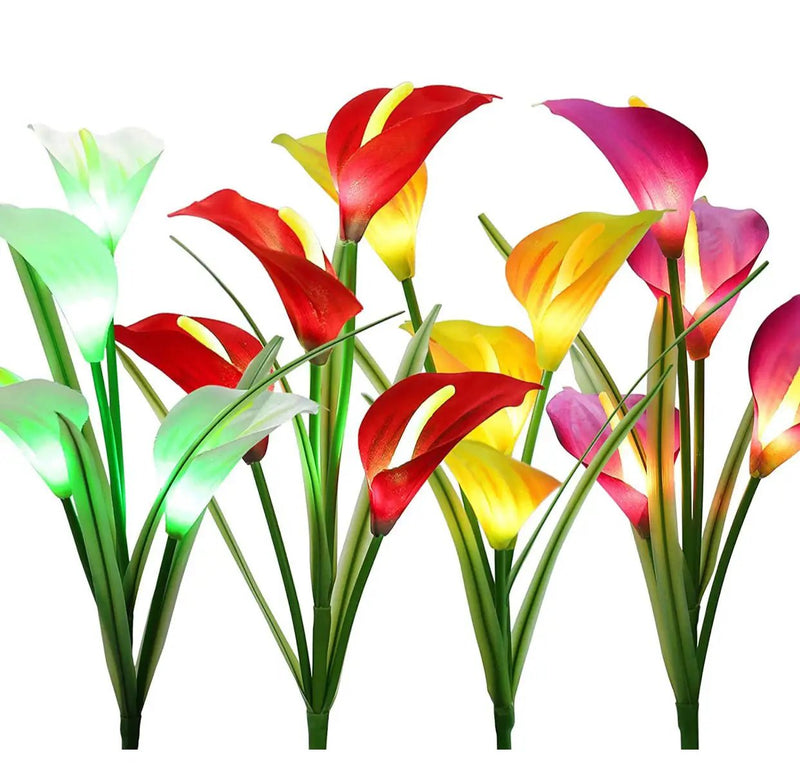4 Pack Solar Common Calla Lamp Four Color LED by Outdoor Solar Outlet