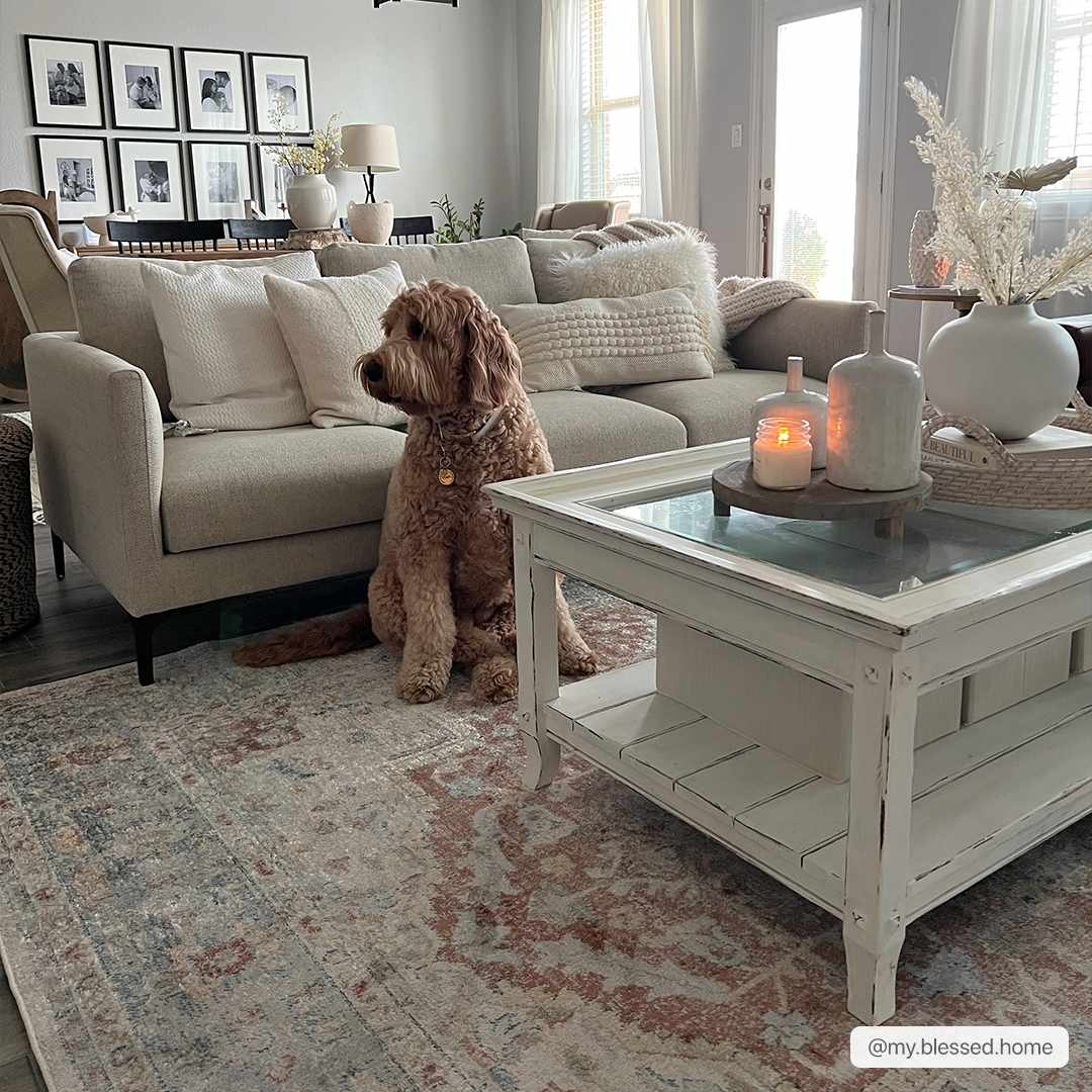 Emke Flat Pile Washable Rug - Clearance by Boutique Rugs