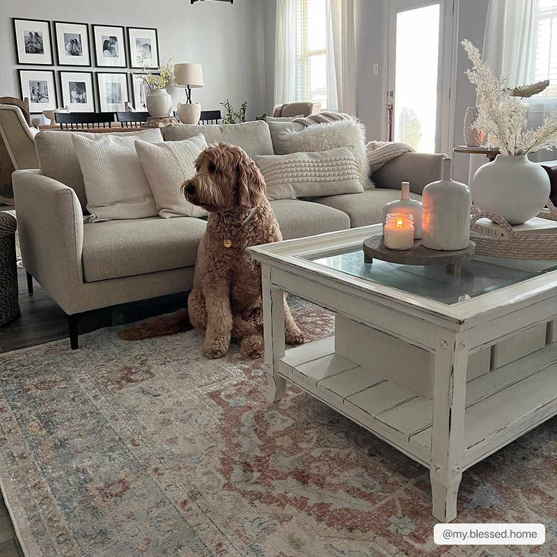 Emke Flat Pile Washable Rug - Clearance by Boutique Rugs