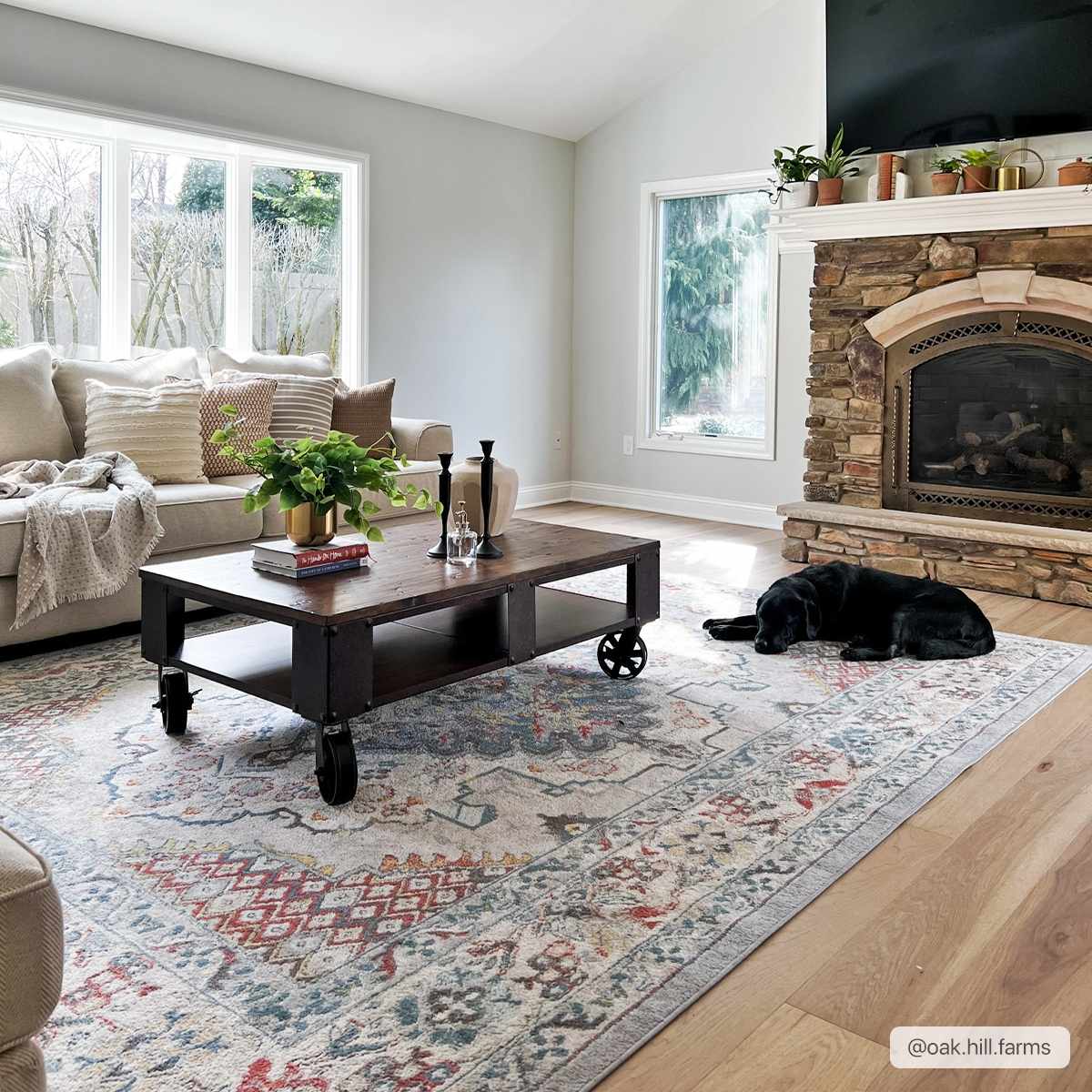 Haymond Area Rug by Hauteloom