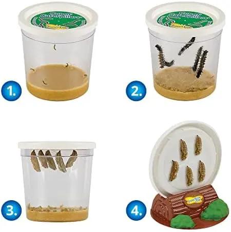 Insect Lore Butterfly Garden with Giant Birthday Card | 5 Live Baby Caterpillars | STEM Journal, Habitat, Chrys-A-Lid, Feeder | Raise and Release Painted Lady Butterflies by GreenHaven Gardens