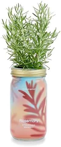 Modern Sprout Mason Garden Jar - Self-Watering Hydroponics Growing System Kit with Organic Herb Seeds - Jar Planter for Indoor Herb Garden - Seed Starter Kit - Home Decor & Gifting - Rosemary by GreenHaven Gardens