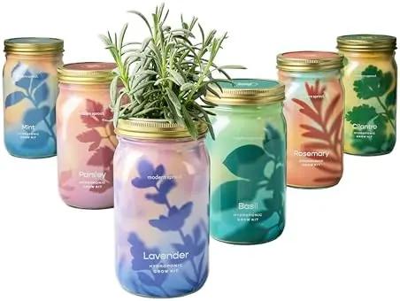 Modern Sprout New & Improved Mason Jar Grow Set 6pk, Indoor Herb Garden, Seed Starter Set, Organic Seeds, Hydroponic Growing (Basil + Mint + Parsley + Cilantro + Rosemary+ Lavender) by GreenHaven Gardens