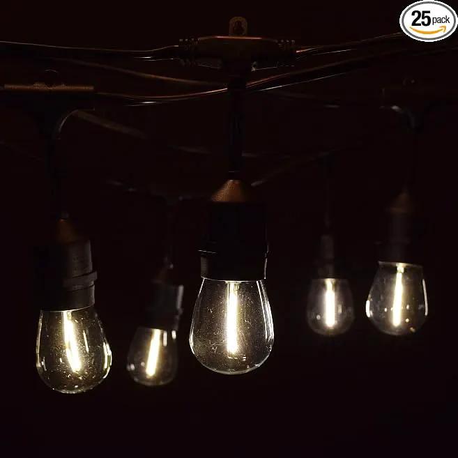 Hometown Evolution, Inc. 50 Foot E26 LED Outdoor Commercial String Lights with 25 Suspended Sockets and S14 LED Filament 1 Watt Bulbs by GreenHaven Gardens