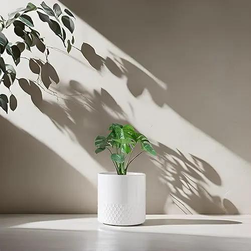 Docrin Ceramic Planters Indoor, 8 Inch Plant Pots with Drainage Holes for Home/Office - White Honeycomb by GreenHaven Gardens