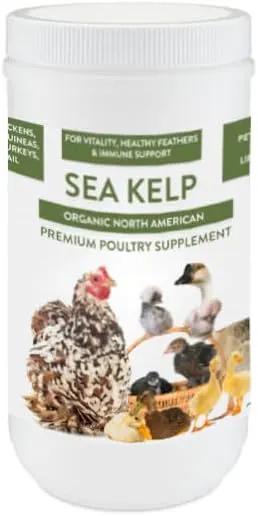 Organic Kelp for Chickens & Duck Feed (5 Pound): Chicken Vitamins | Chicken Supplements | Vitamins for Chickens | Pampered Chicken Mama by GreenHaven Gardens