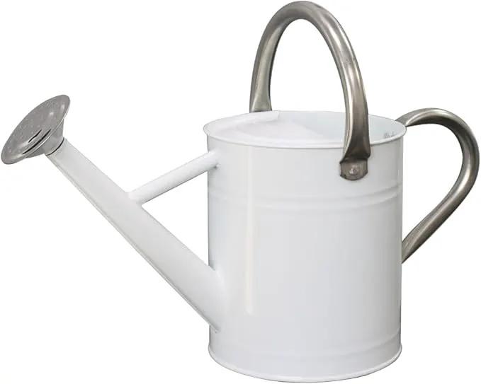Metal Watering Can, One Gallon Watering Cans Stainless Steel for Outdoor Indoor Garden Plants Watering (White) by GreenHaven Gardens