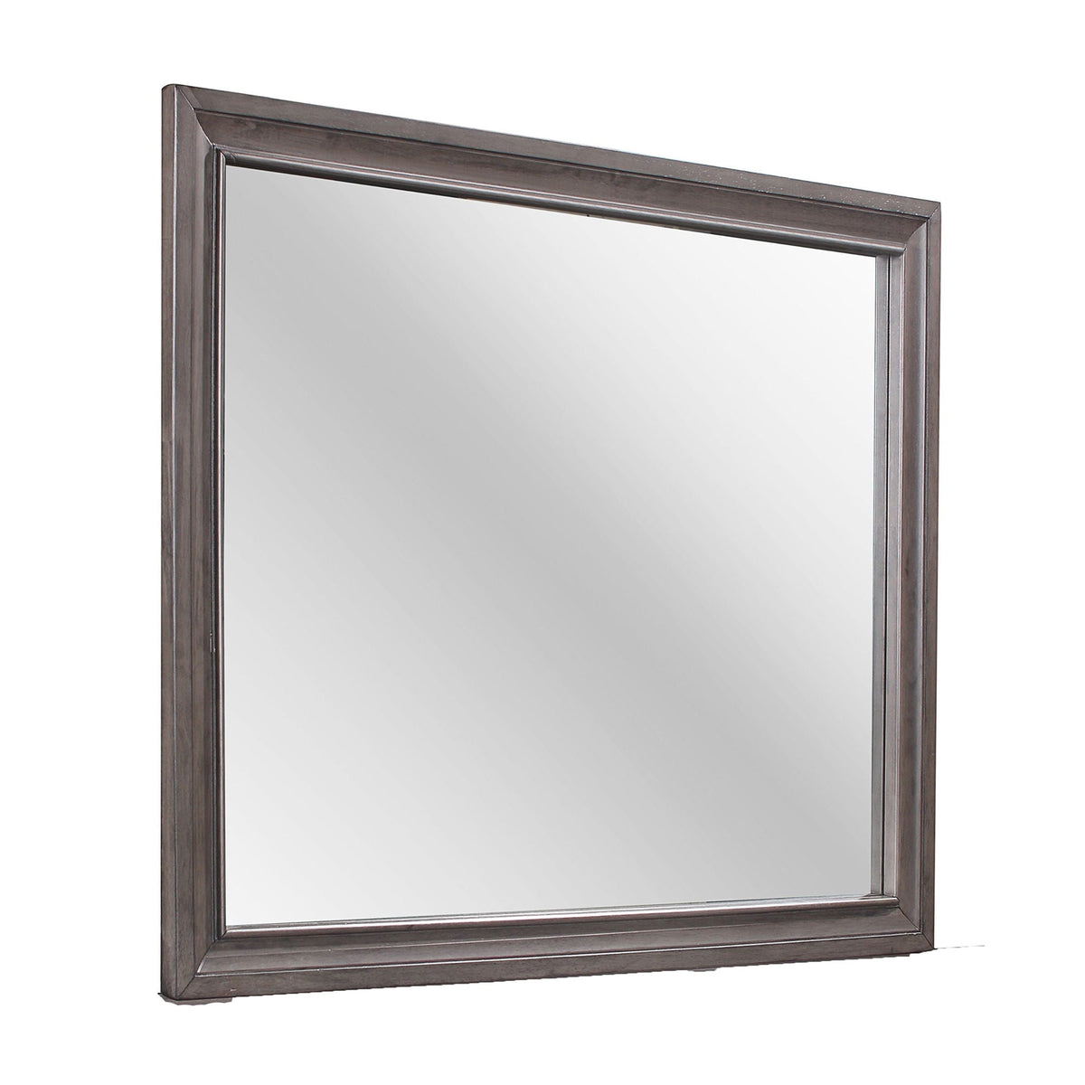 Gray Sparkle Mirror with Beveled Glass - Ryder