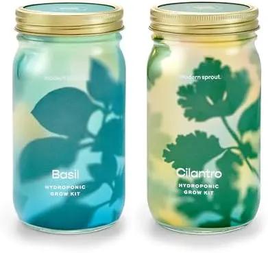 Modern Sprout Mason Garden Jar - Self-Watering Hydroponics Growing System Kit with Organic Herb Seeds - Jar Planter for Indoor Herb Garden - Seed Starter Kit - Home Decor & Gifting - Basil+Cilantro by GreenHaven Gardens