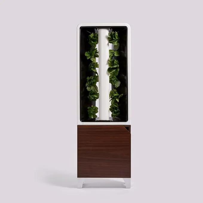 Just Vertical EVE Indoor Hydroponic Garden | Modern Furniture-Style Vertical Planter | Grow 12 Fresh Herbs & Vegetables Year-Round | Self-Watering, Energy-Efficient LED, Compact Design by GreenHaven Gardens