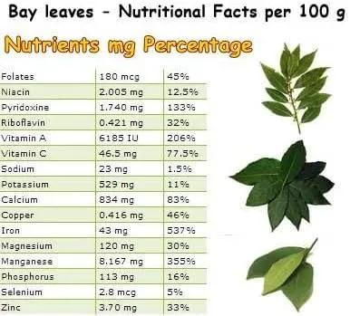 Mediterranean Bay Leaf, Bay Laurel Live Plant. Saratoga/Standard Varieties - Laurus Nobilis. Fragrant, Fresh, Edible. Pots/Ground Planting. Mild/Strong Flavor (2 Srtg + 2 Std Bay Plants in Cup) by GreenHaven Gardens