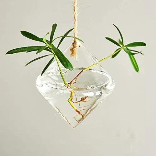 Glass Hanging Planters Indoor Outdoor Plant Pots Water Plant Containers Flower Pots Glass Terrariums Wall Vases 3 Pieces by GreenHaven Gardens