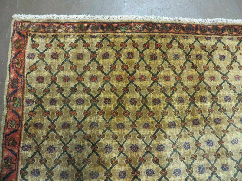 4' X 6' Handmade Indian Allover Wool Rug Camel Hair Color #119 by Jewel Rugs