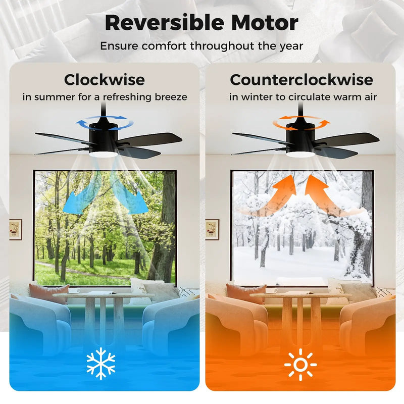 42inch Ceiling Fan with Light and Remote 3CCT LED with Memory 4H Timer 6 Speeds-Black by DirectDeals