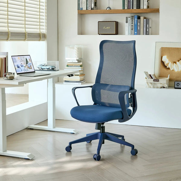 Ergonomic Colorful Office Chair