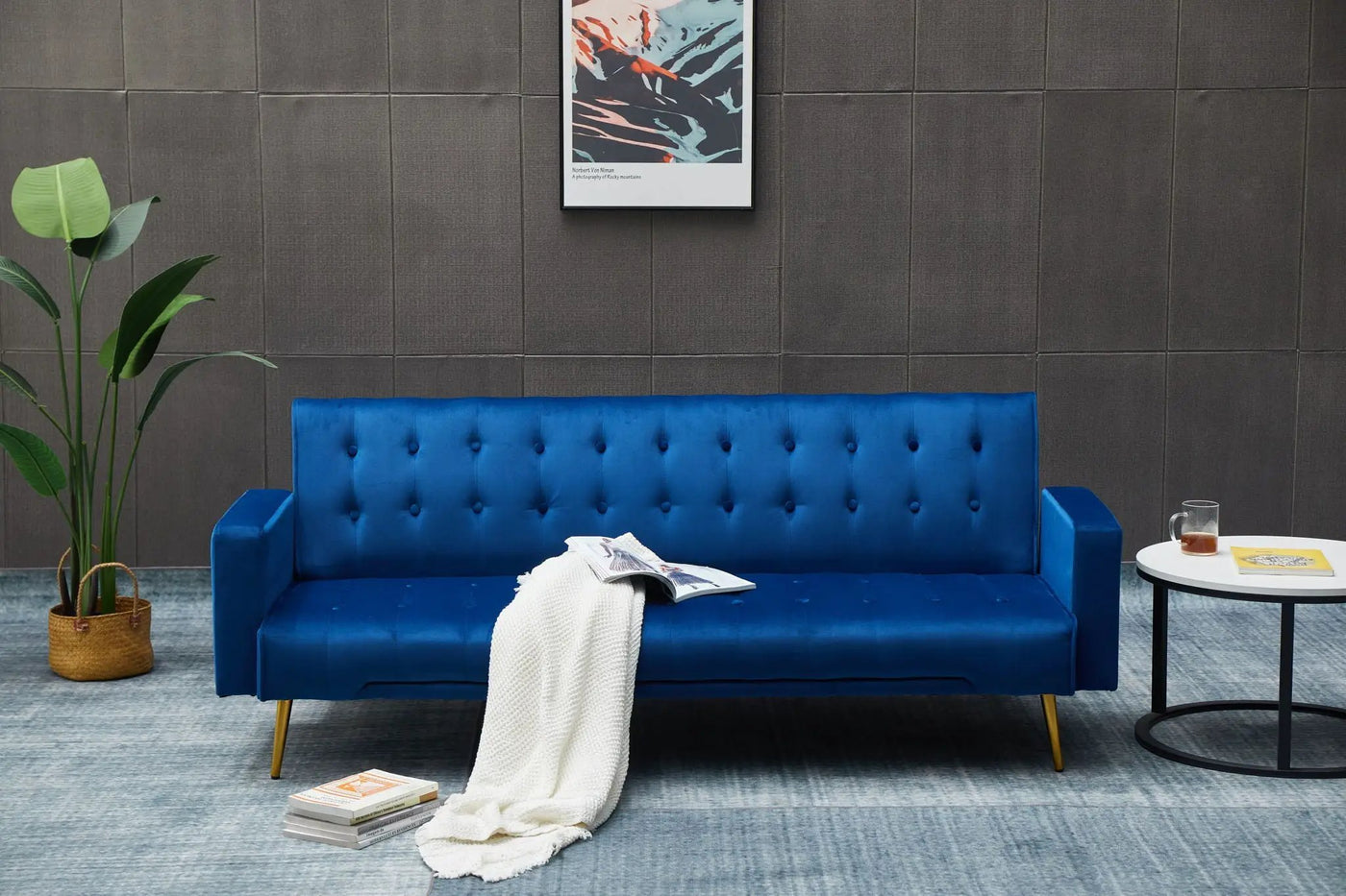 Comfort Compact Design Sofa Bed by Unique Piece Furniture