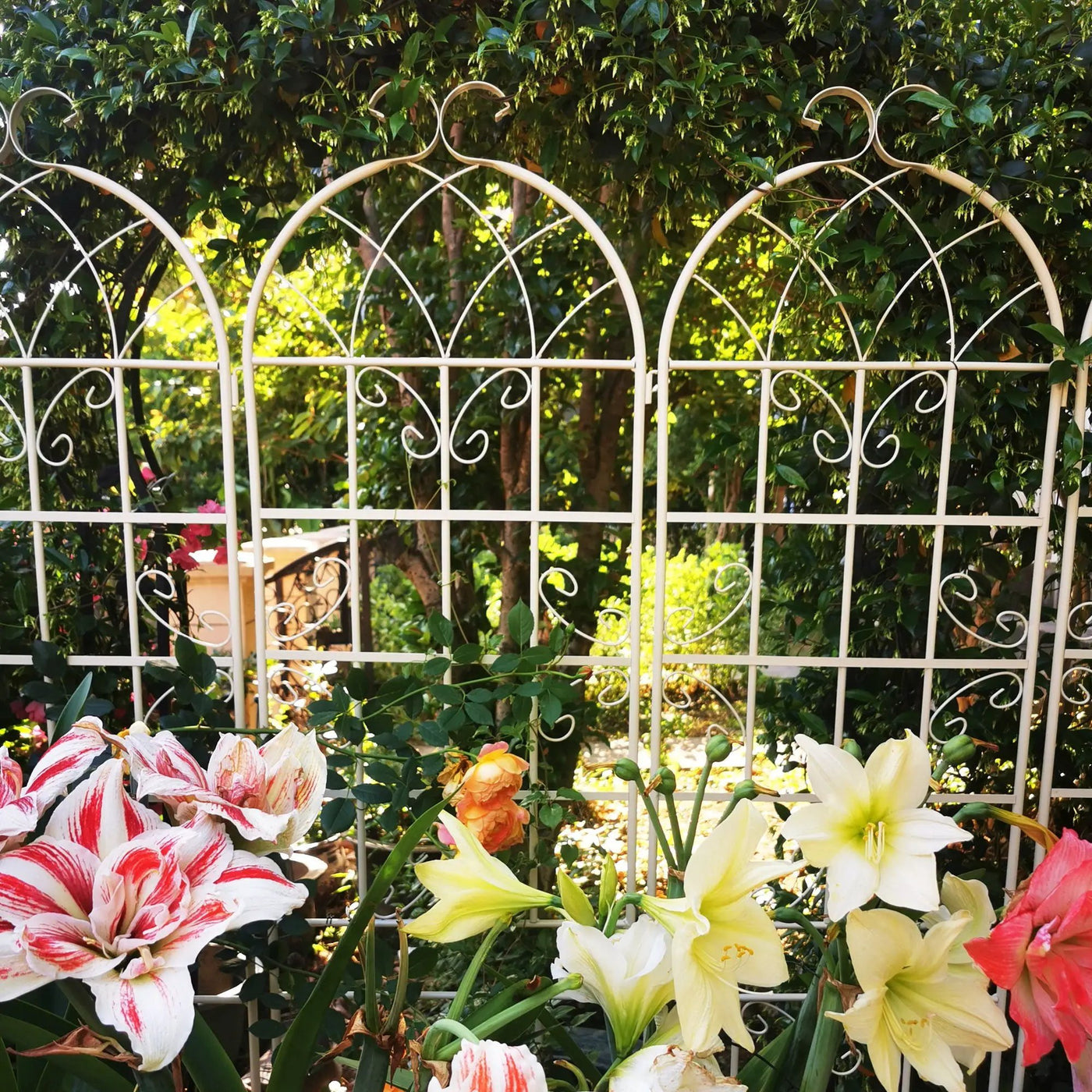Metal Garden Rustproof Trellis For Climbing Plants Outdoor Flower Support by HouseOfZazla