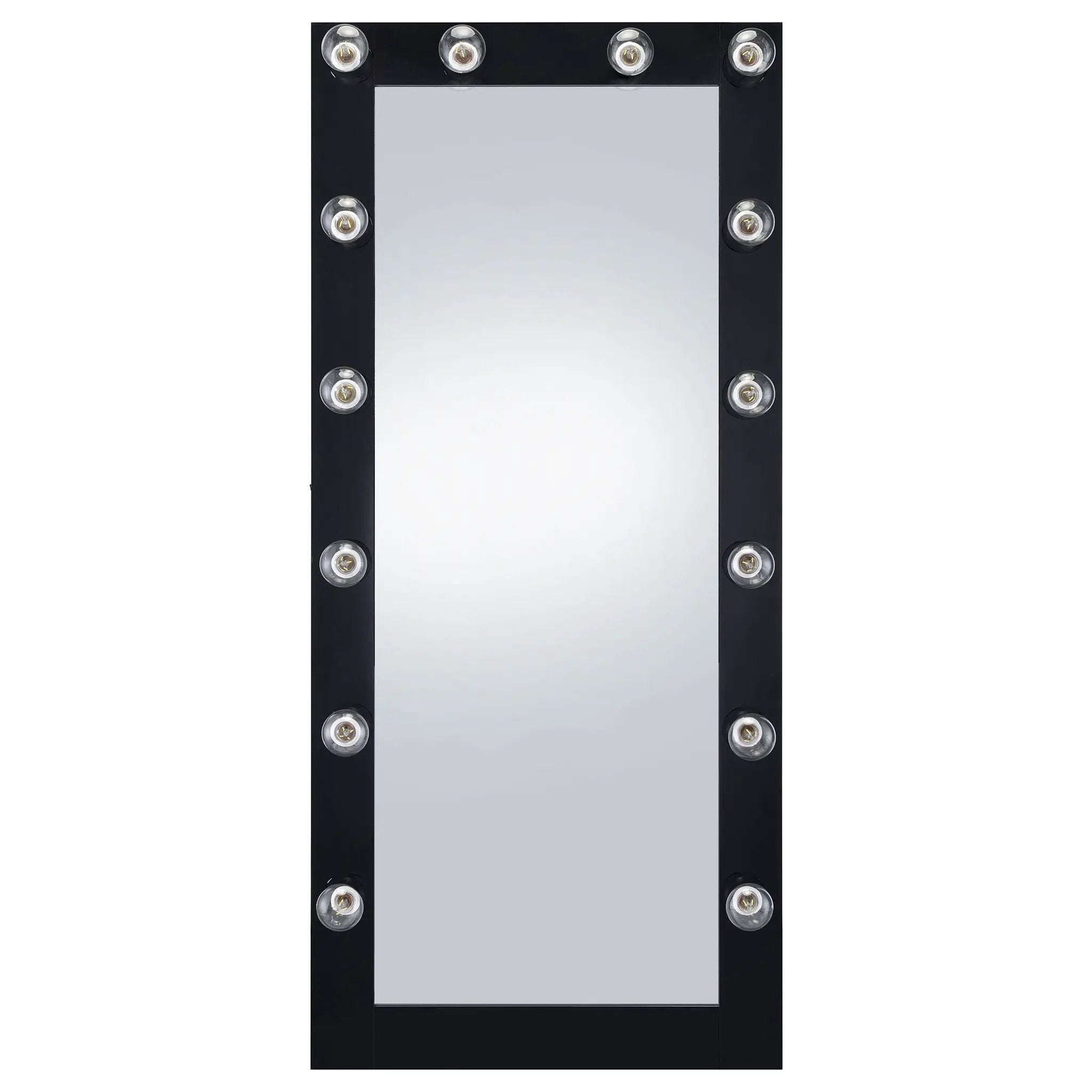 Zayan 32 x 71 Inch Floor Mirror LED Lighting Black Gloss by Unique Piece Furniture