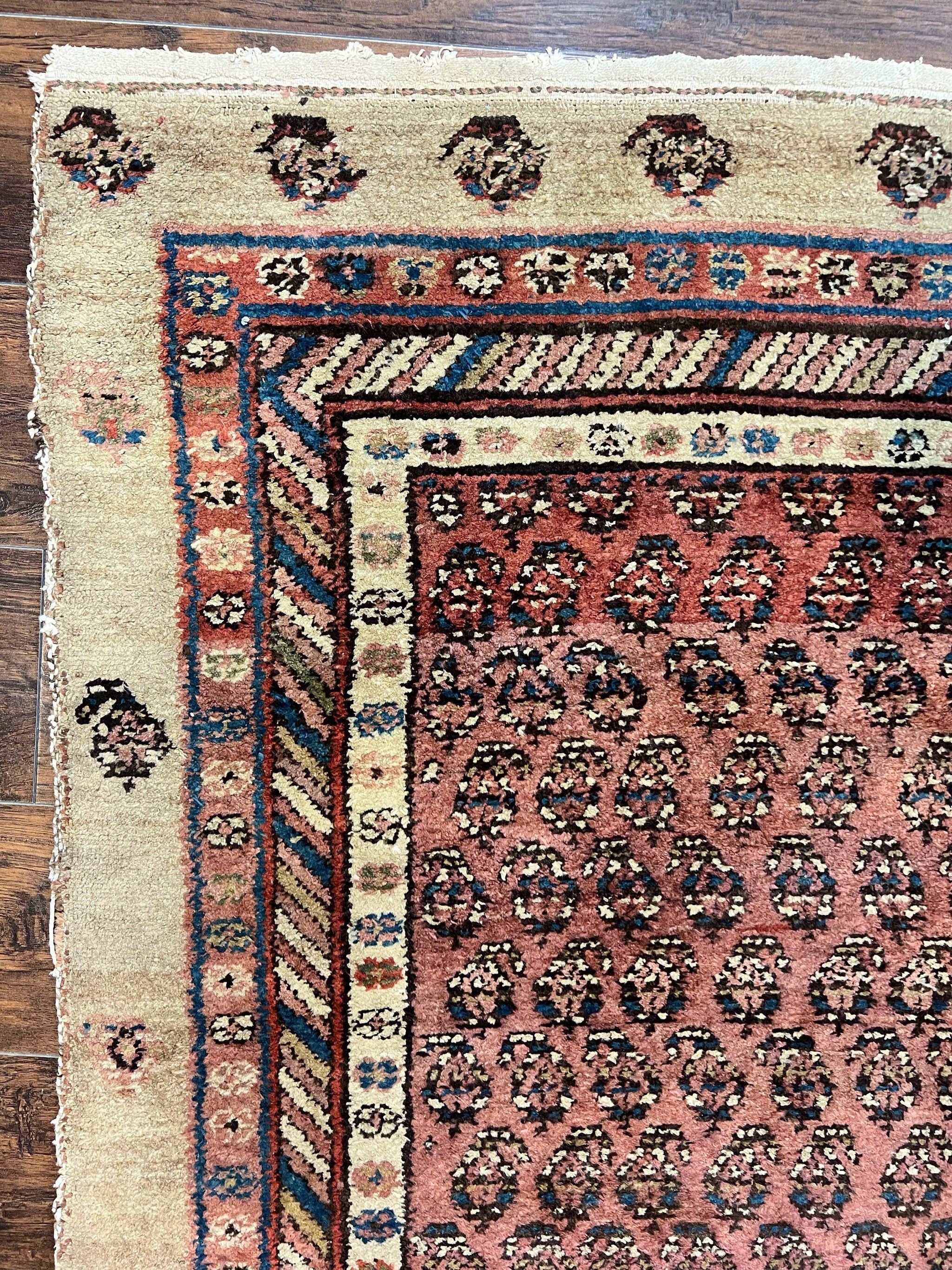 Antique Persian Sarab Runner Rug 3x11, Wool Camel Hair, Tribal Carpet for Hallway 3 x 11, Antique 1920s Rug, Handmade by Jewel Rugs