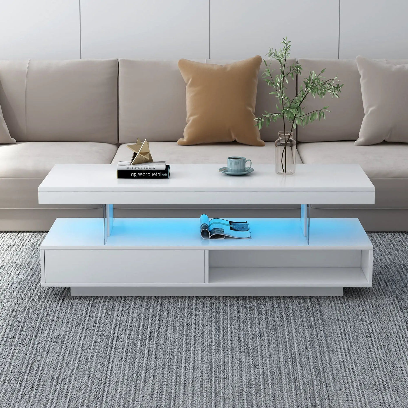 LED Coffee Table With 2 Drawers And Display Shelves by HouseOfZazla
