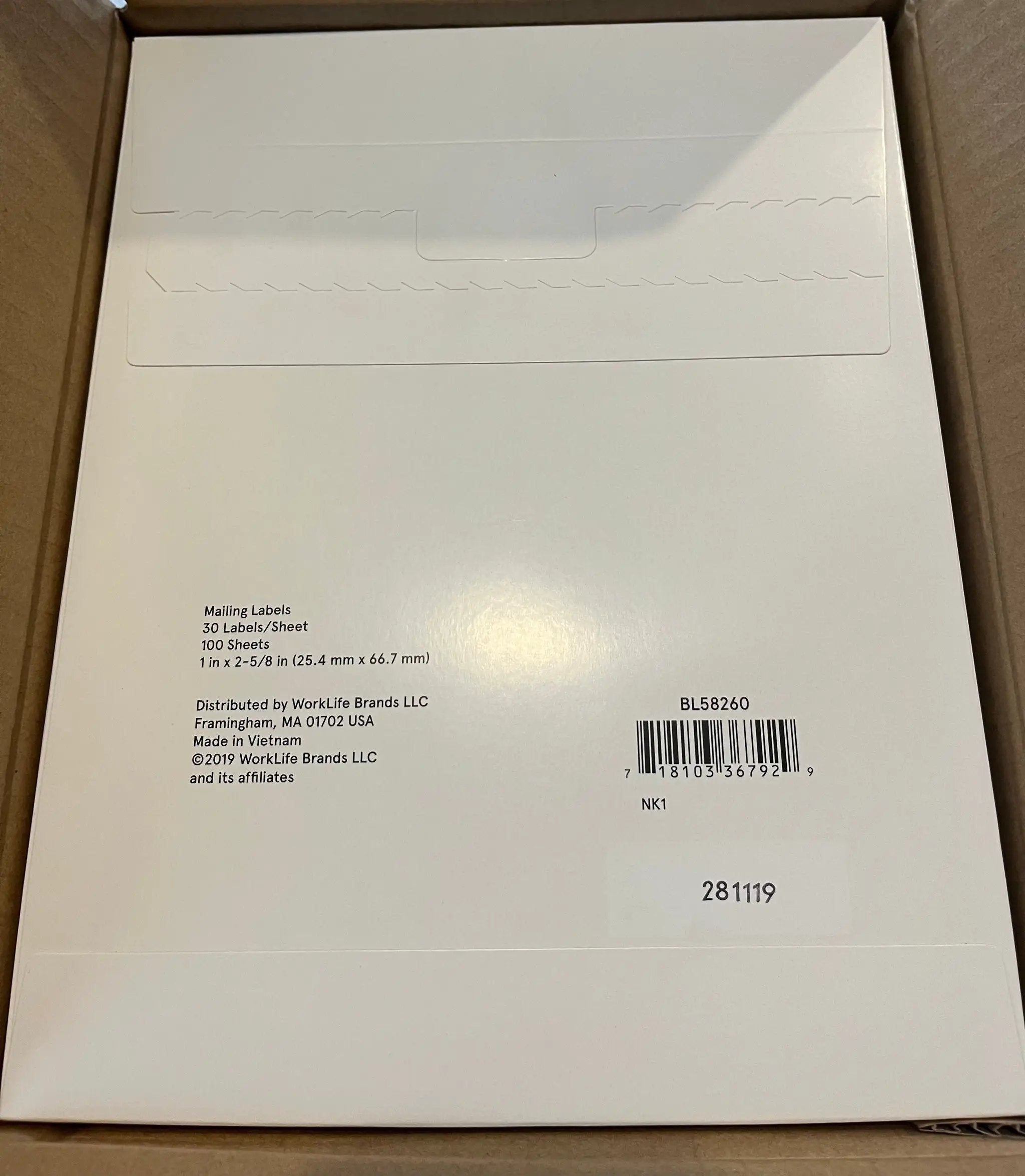 Staples BL58260 Baseline Mailing Labels, White, 3000/Pack by Selzalot