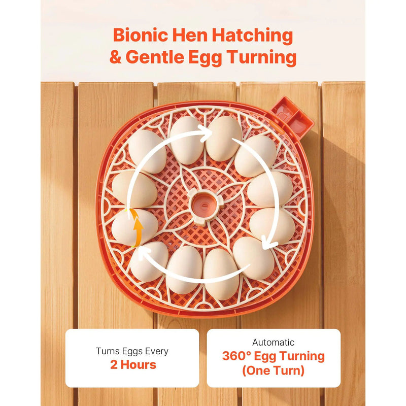 12 Egg Incubator with Automatic Egg Turner and LED Candler by HouseOfZazla