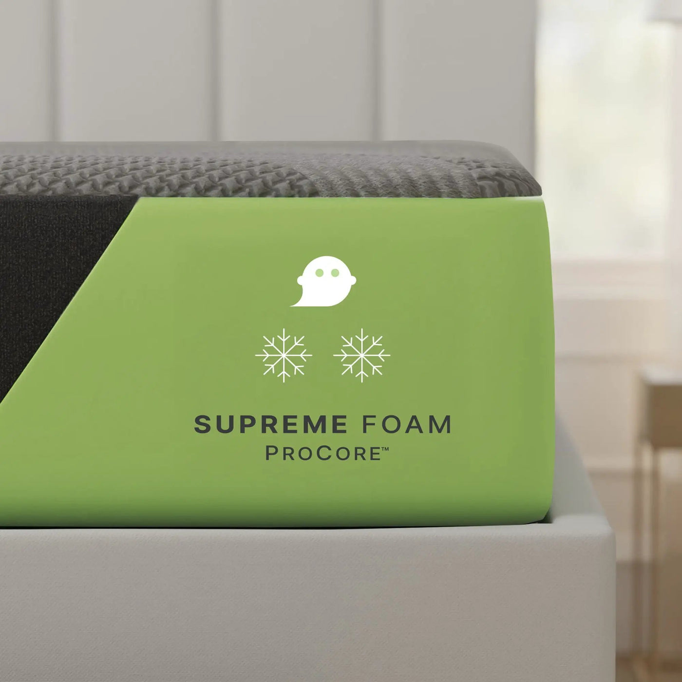 Supreme - 12" Foam Mattress With Procore Technology And Cooling Cover by HouseOfZazla