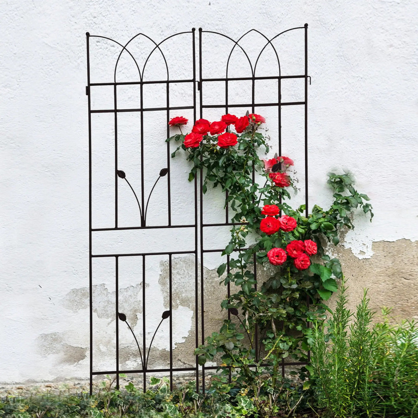 Metal Garden Trellis Rustproof For Climbing Plants Outdoor Flower Support by Unique Piece Furniture