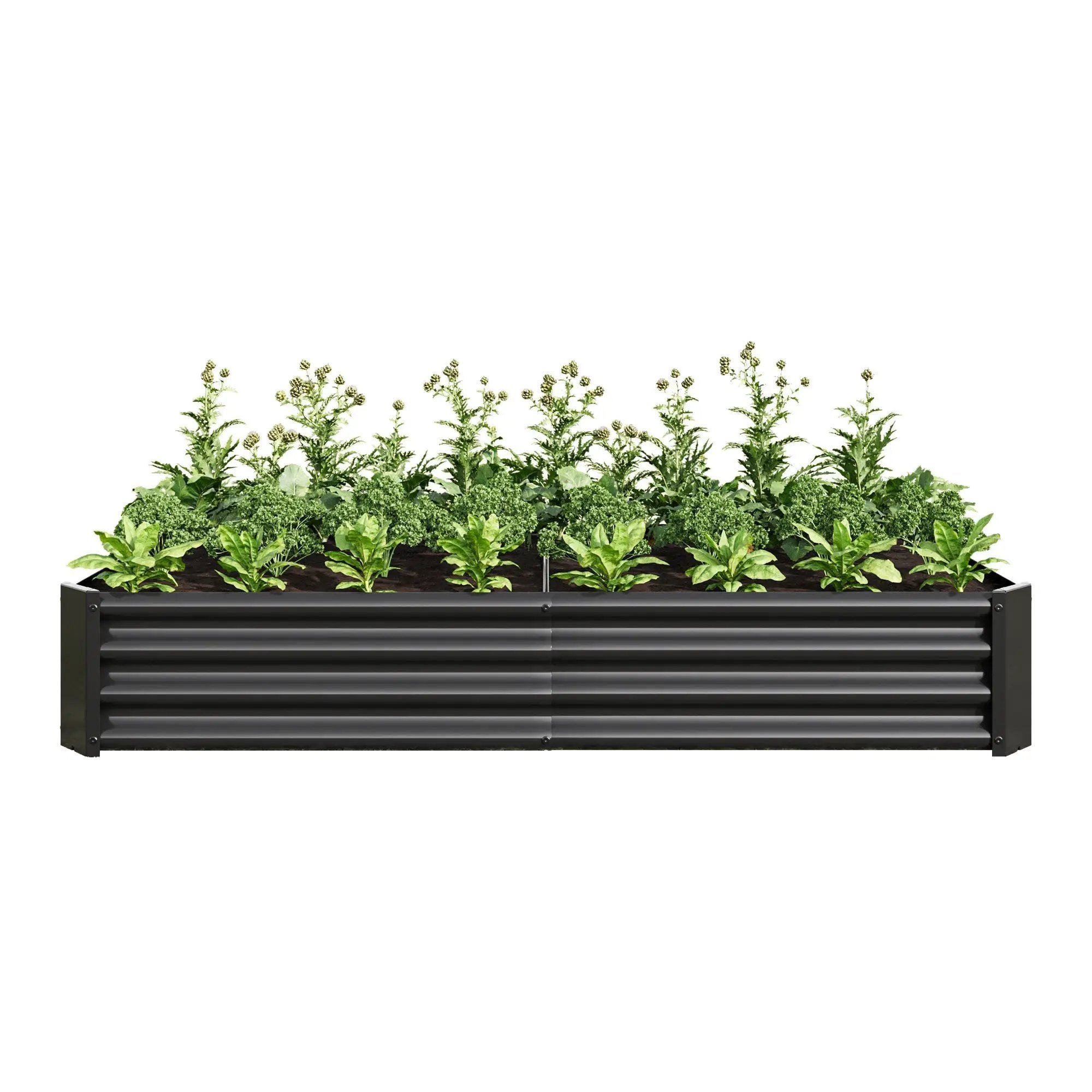 Raised Garden Bed Outdoor 6×3×1 ft Metal Raised Rectangle Planter Bed by HouseOfZazla