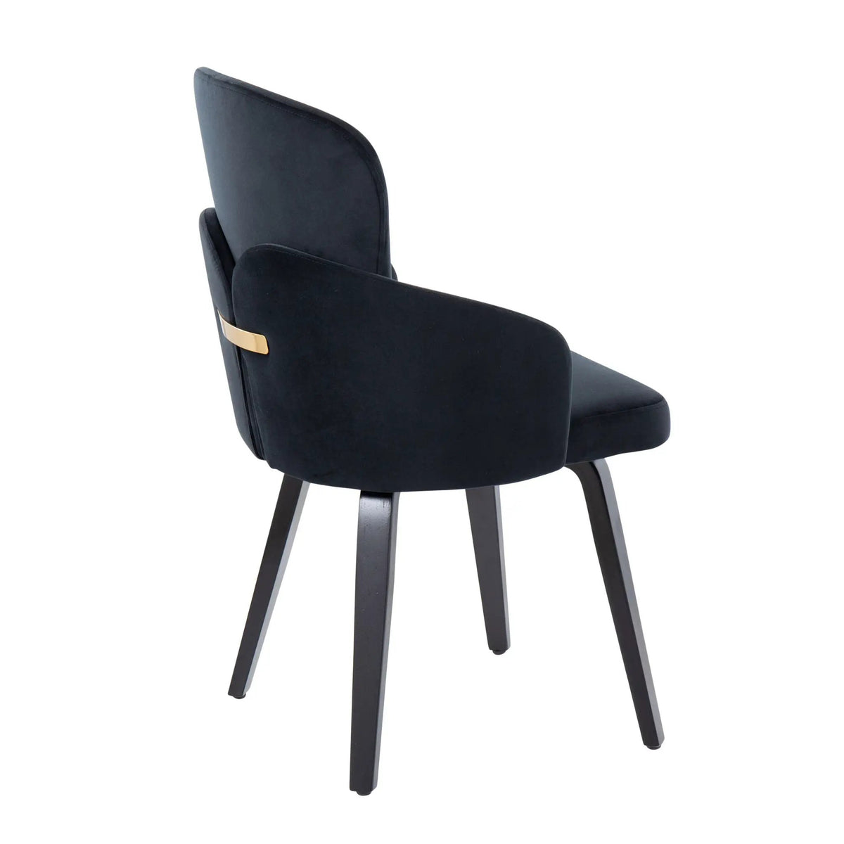 Dahlia - Contemporary Elegant Dining Chair (Set of 2) by HouseOfZazla