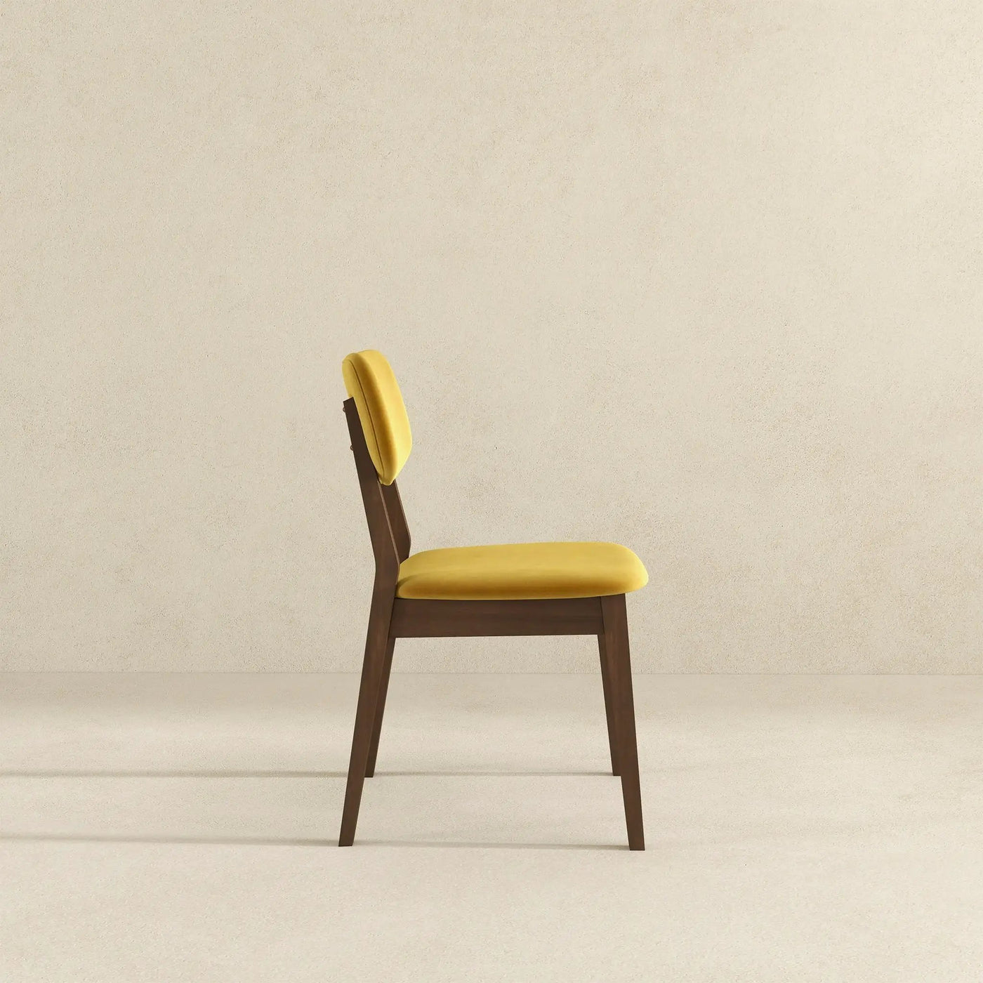 Carlos - Solid Back Side Chair (Set of 2) by HouseOfZazla