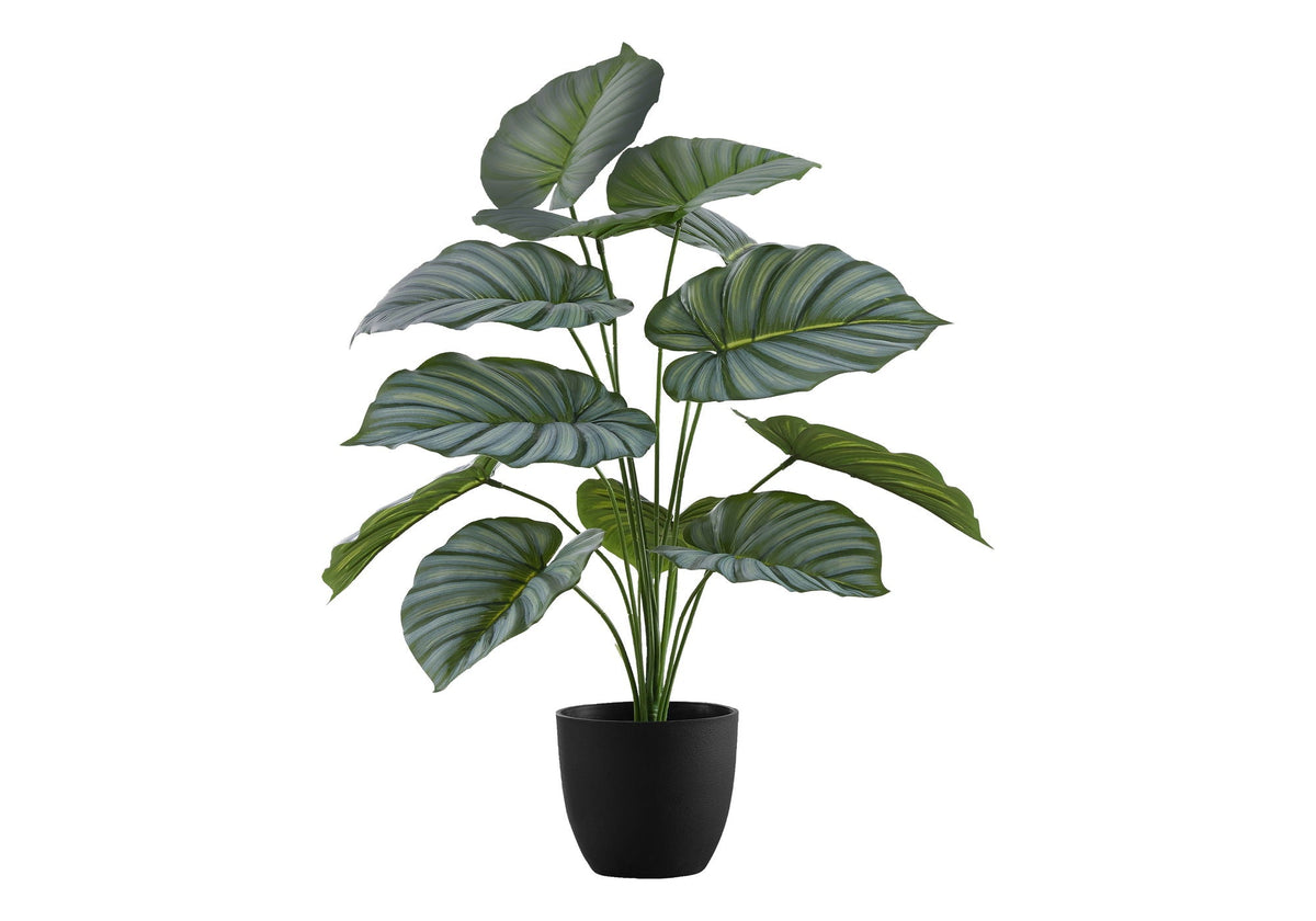 24" Tall Artificial Calathea Plant with Real-Touch Leaves - Green, photo 3 of 4