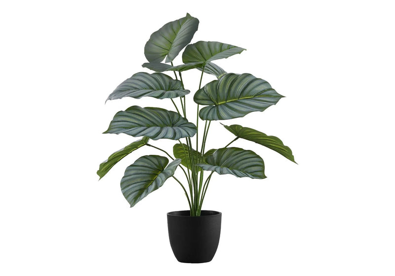 24" Tall Artificial Calathea Plant by HouseOfZazla