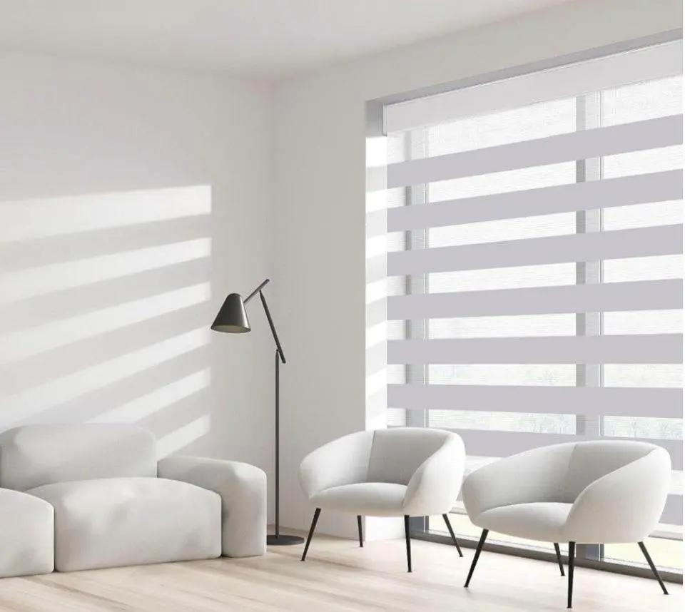 SUNFREE Zebra Blinds Dual Roller Shades for Windows, Zebra Shade Light Control Window Treatments with Valance Cover, 38" W x 72" H, Light Greyz by Selzalot