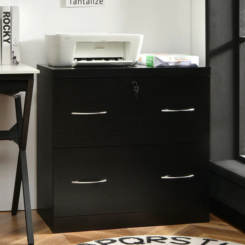 2-Drawer File Cabinet with Lock Hinging Bar Letter and Legal Size by DirectDeals