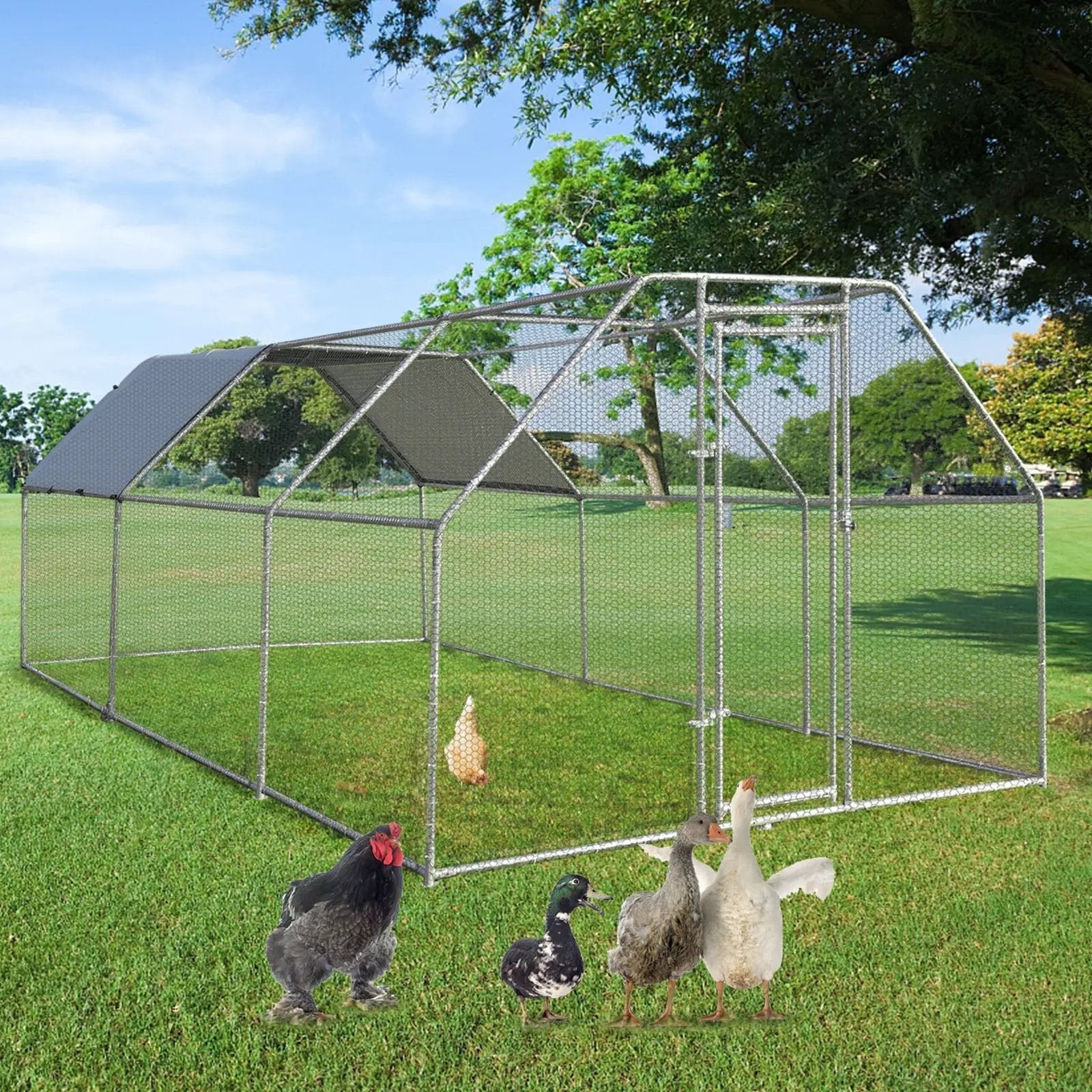 9.5 x 19 Feet Large Walk In Chicken Coop by DirectDeals