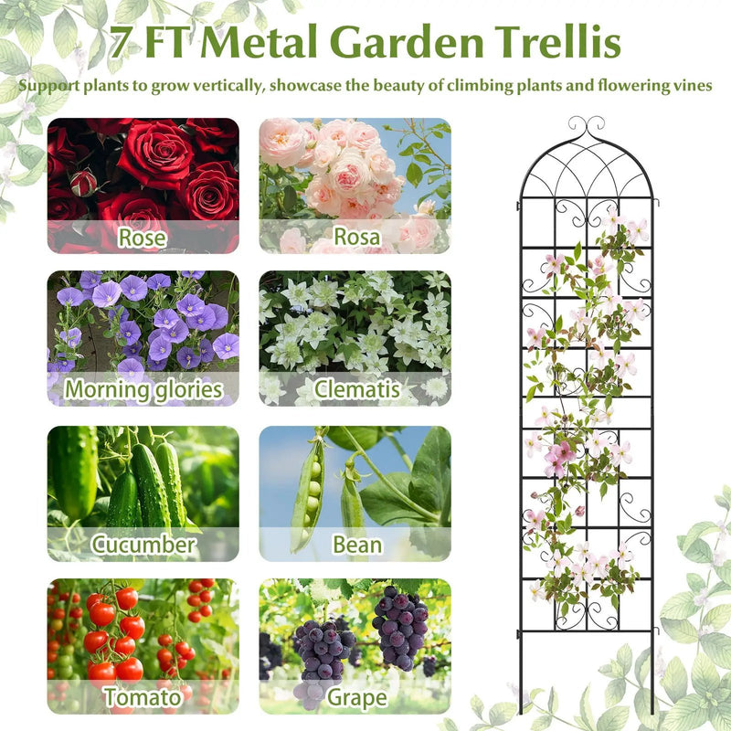 4 Pack 86" x 20" Metal Garden Trellis for Outdoor Climbing Plants by DirectDeals