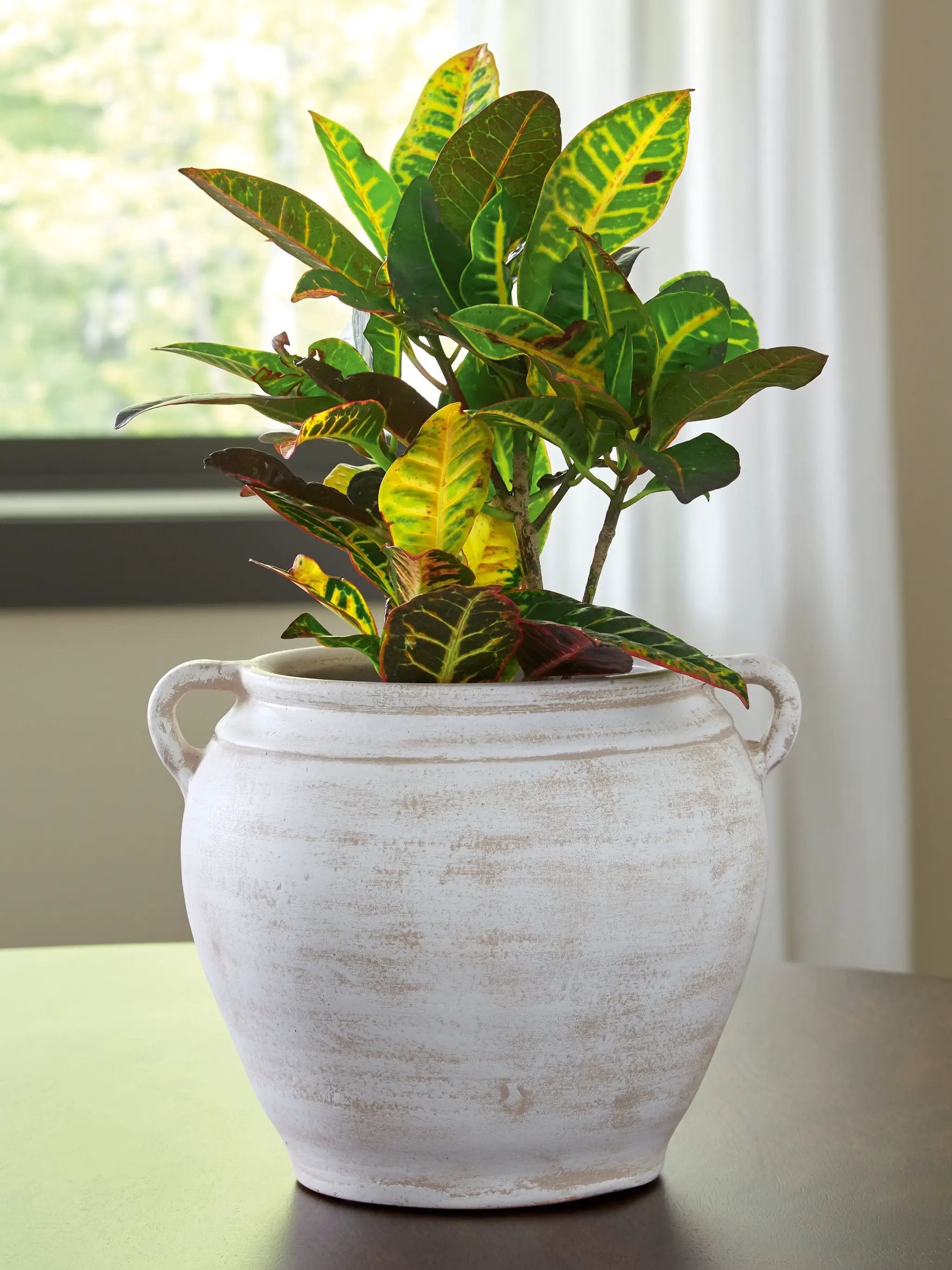 Meadie - 9" Vase by Unique Piece Furniture