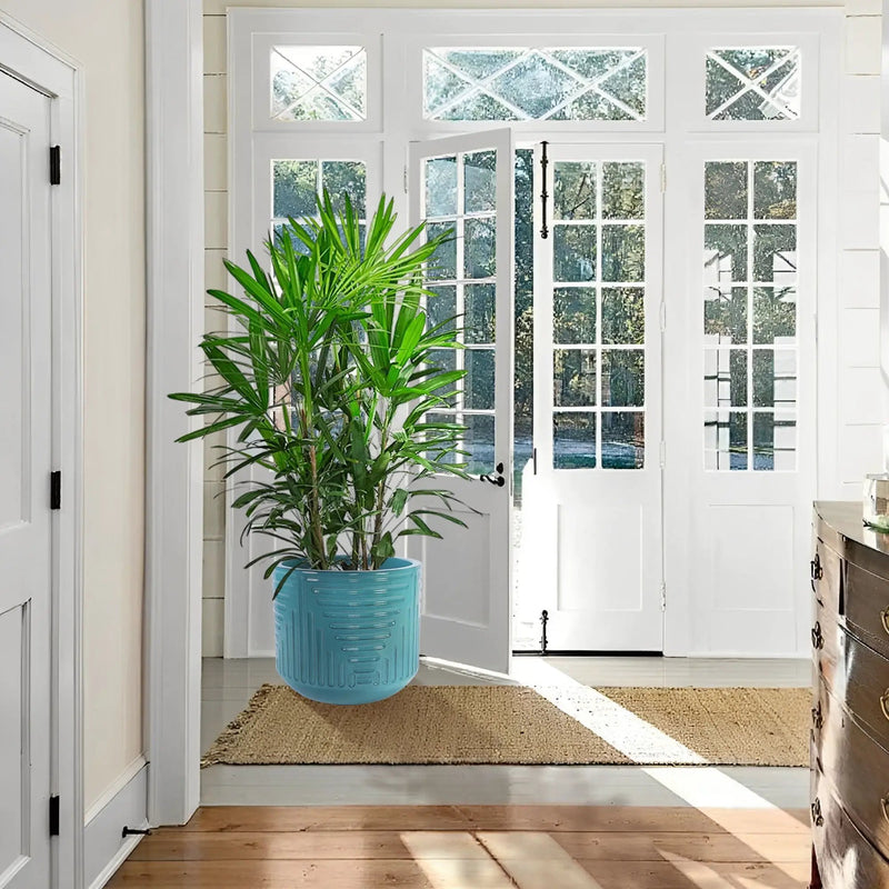 Versatile Flowerpot Planter for Patio, Garden, and Windowsill by HouseOfZazla